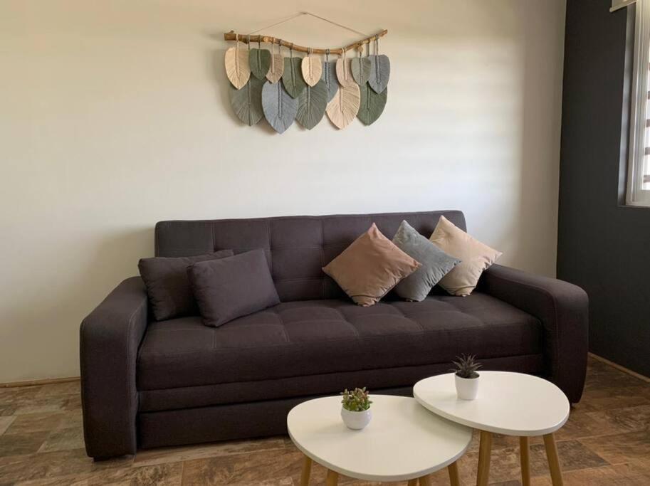 Departamento Completo Y Equipado Con 2 Habitaciones León Zewnętrze zdjęcie
