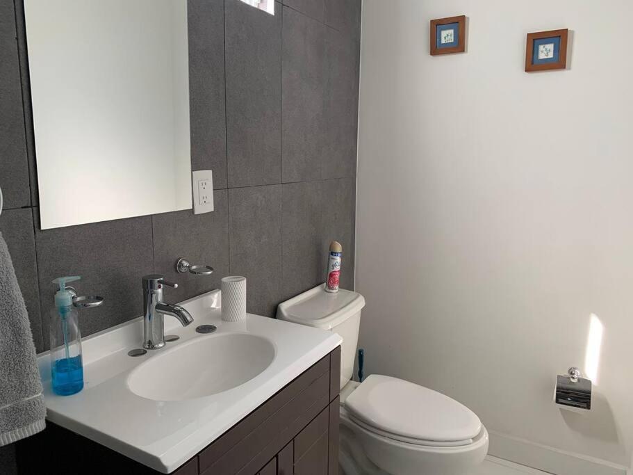 Departamento Completo Y Equipado Con 2 Habitaciones León Zewnętrze zdjęcie